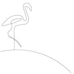 Flamingo birds line drawing vector illustration 