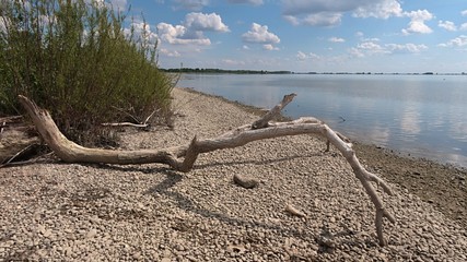 Dried pale coloured driftwood tree trunk on stony river bank of Vah river, location Kralova river dam, Slovakia, during spring season. Nice cloudy skies with reflection of clouds on water surface.