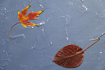 Textured blue background with autumn leaves.