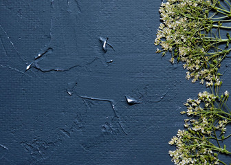 dry wildflowers on the background