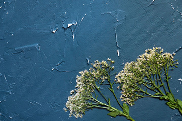 blue textured background with dry flowers
