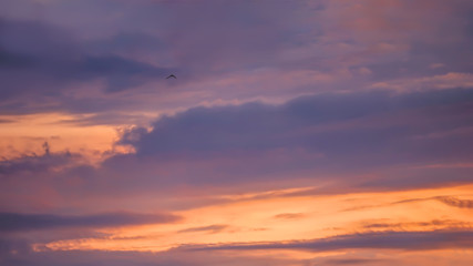 Obraz premium Jasny kolor wieczorne lub poranne zachmurzone niebo.