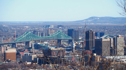 Fototapeta premium A green Jacques Cartier Bridge contrasted against the Montreal skyline on a cold winter day. The skyline is filled with high rise skyscrapers.