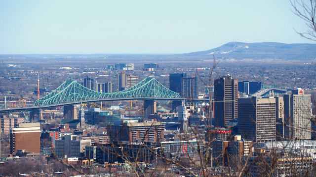 A green Jacques Cartier Bridge contrasted against the Montreal skyline on a cold winter day.  The skyline is filled with high rise skyscrapers.