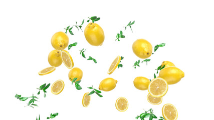 Lemon and mint. c02 v02
