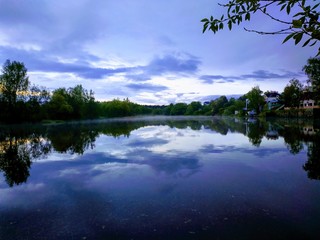reflection of trees in water