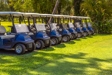 golf cart on golf course © Unclesam