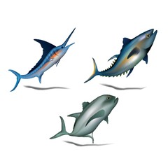 A set of fishes illustration.
