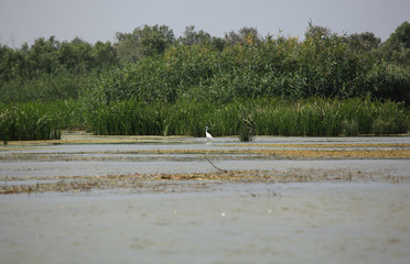 Beautiful landscape in the Volga Delta. Astrakhan Region. Russia