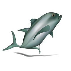 A fish illustration.