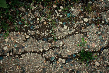 Old worn and cracked asphalt with cracks. Cracked asphalt background. Green grass