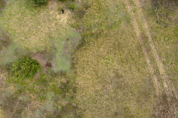 wild field, view from above
