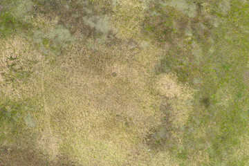 Fototapeta na wymiar wild field, view from above