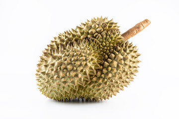 A durian king of fruit with sharp thorn on shell surface