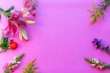 Flores decorando un fondo rosa