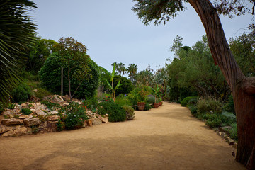 Fototapeta premium Marimurtra Botanical garden in Blanes, Catalonia.