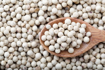 ホワイトペッパー粒