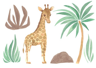 Watercolor set of giraffe among greenery and palm trees Hand painted children's illustration cartoon