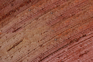 relief structure of the red clay brick surface