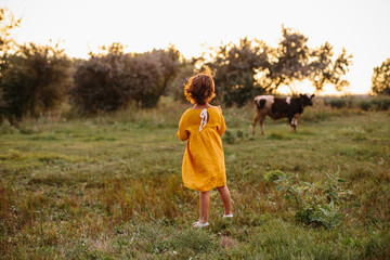Toddler curly caucasian girl standing turned back in fields and looking at cow.