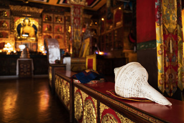 A Buddhist ritual musical instrument for ivitation on puja - a large white shell, lies in the foreground, on a table, in the gompa of a Buddhist monastery.