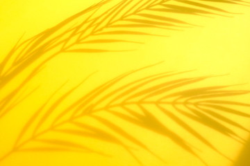 Abstract background of shadows palm leaves on a yellow background.