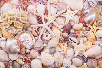 Many amazing seashells and starfishes mixed with pearls