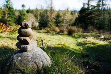 Pile of stones on a rock with a forest in the background