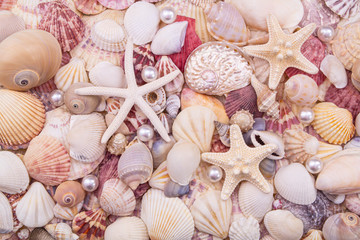 Many amazing seashells and starfishes mixed with pearls