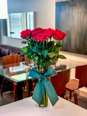 roses in a vase
