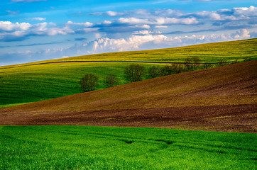 Obraz premium Rural spring landscape