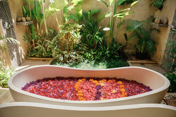 View of bath tub with flower petals, tropical jungle on background. Concept of luxurious aromatherapy spa treatment. Bali