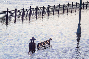 Bench on the embankment in the spring flood of the Volga in Rybinsk