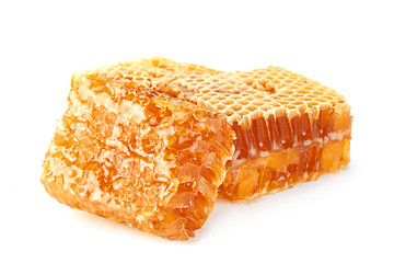 Honeycomb slice closeup on white