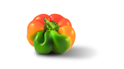ugly yellow-green pepper of unusual shape on a white background, close-up, horizontal orientation, copy space. isolated