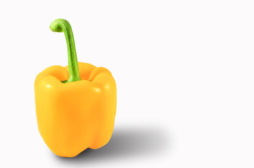 ugly yellow bell pepper square shape on a white background, close up, horizontal orientation, copy...