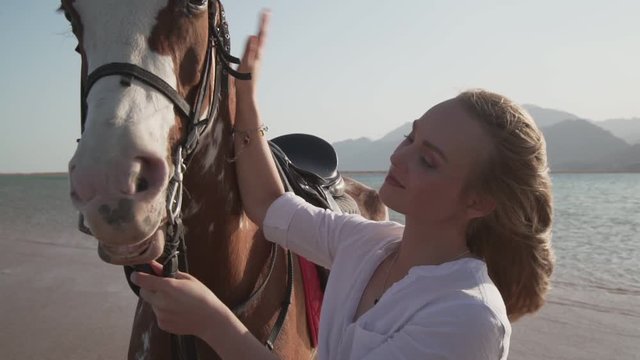 Young caucasian girl stroking a horse at sea shore at sunrise slow motion