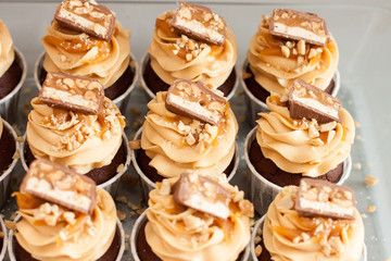 Obraz na płótnie Canvas Cupcakes with peanut butter cream cheese frosting, chocolate bites, salted caramel and chopped nuts. Plain background