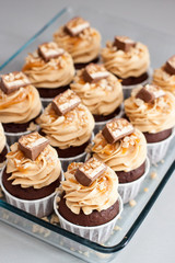Obraz na płótnie Canvas Cupcakes with peanut butter cream cheese frosting, chocolate bites, salted caramel and chopped nuts. Plain background