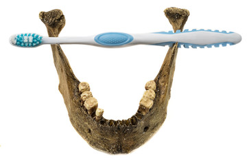 A bright new toothbrush with soft bristles and a skeletonized lower human jaw with few remaining teeth