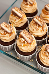 Cupcakes with peanut butter cream cheese frosting, chocolate bites, salted caramel and chopped nuts. Plain background