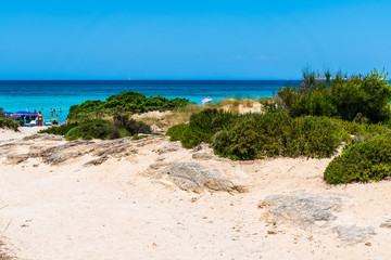 Golden beaches and clear sea. Magic of Salento. Punta della Suina. Puglia, Italy