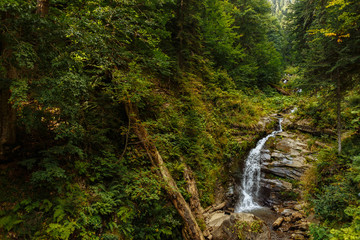 Fototapeta na wymiar Waterfall in a forest high in the mountains of the Caucasus. Rosa Khutor, Sochi.