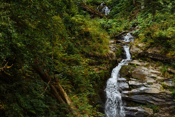 
Waterfall in a forest high in the mountains of the Caucasus. Rosa Khutor, Sochi.