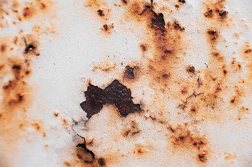 Scrap metal. Rust under a coat of paint. Peeled off white paint. Corrosion on an old satellite dish. Close-up. Macro. Corrosion of metal