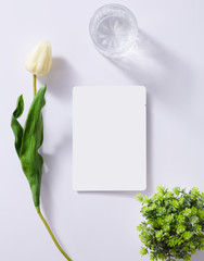 Mask Mockup for skin care include white background with glass, pen, plant Top view angle. For mockup work : branding, masks, skin care, cosmetic product...