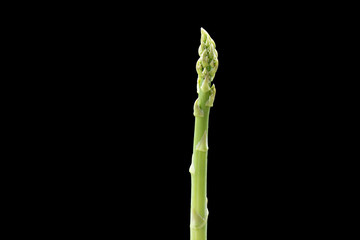 Fresh green asparagus isolated on black background