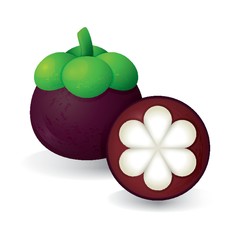 mangosteen