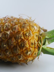 Pineapple (Ananas comosus) in the white background