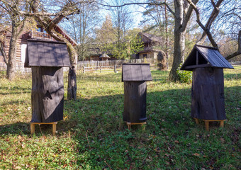 Wooden beehives